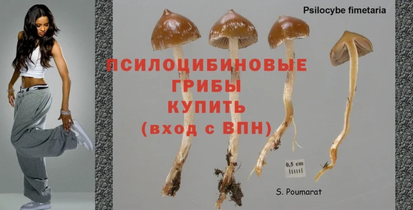 тгк Алзамай
