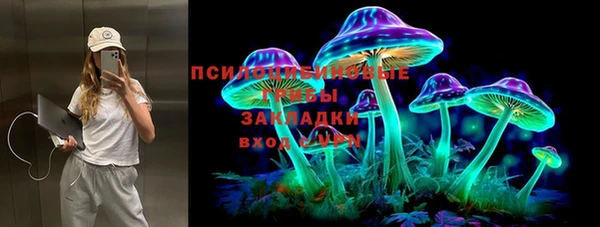 мяу мяу мука Алексин
