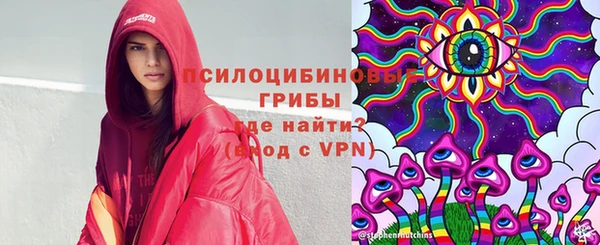 PSILOCYBIN Арсеньев