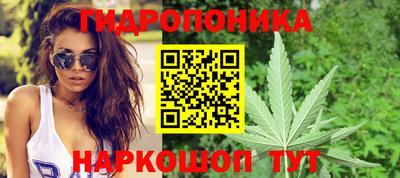 гидра Берёзовский