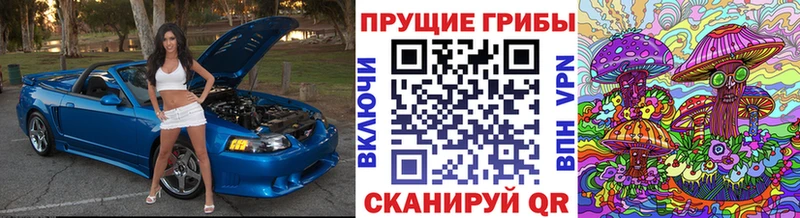 Псилоцибиновые грибы GOLDEN TEACHER Гуково