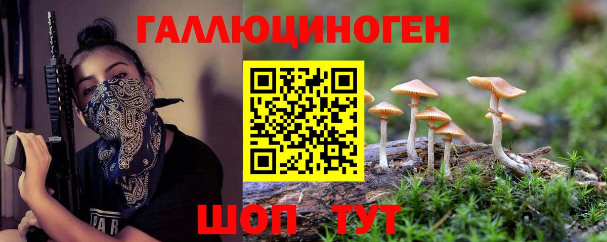 Псилоцибиновые грибы прущие грибы Гуково